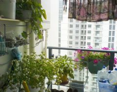 50平米現(xiàn)代亮麗小屋 砸墻做開放式臥室現(xiàn)代陽(yáng)臺(tái)裝修圖片